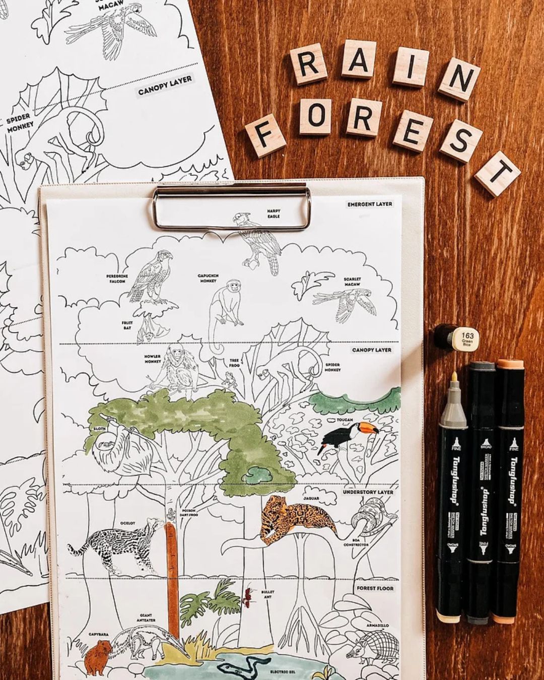 Amazon Rainforest Coloring Sheet Freebie: A Fun, Educational Activity for Your Children