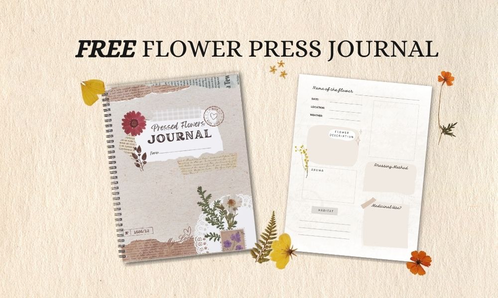 How to Press Flowers with Children: A Simple Nature Study Guide