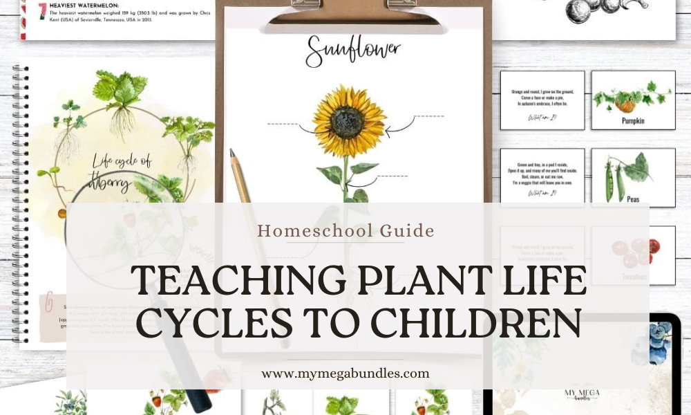 Teaching Plant Life Cycles to Children: A Hands-On Homeschool Guide