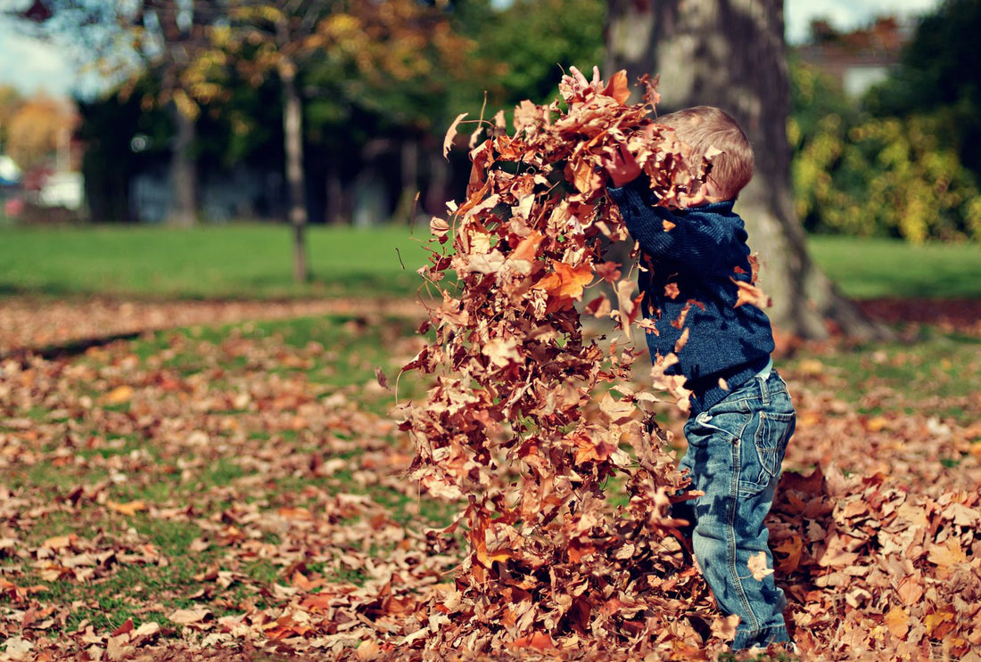 Child playing in a pile of colorful autumn leaves outdoors during a fall nature study