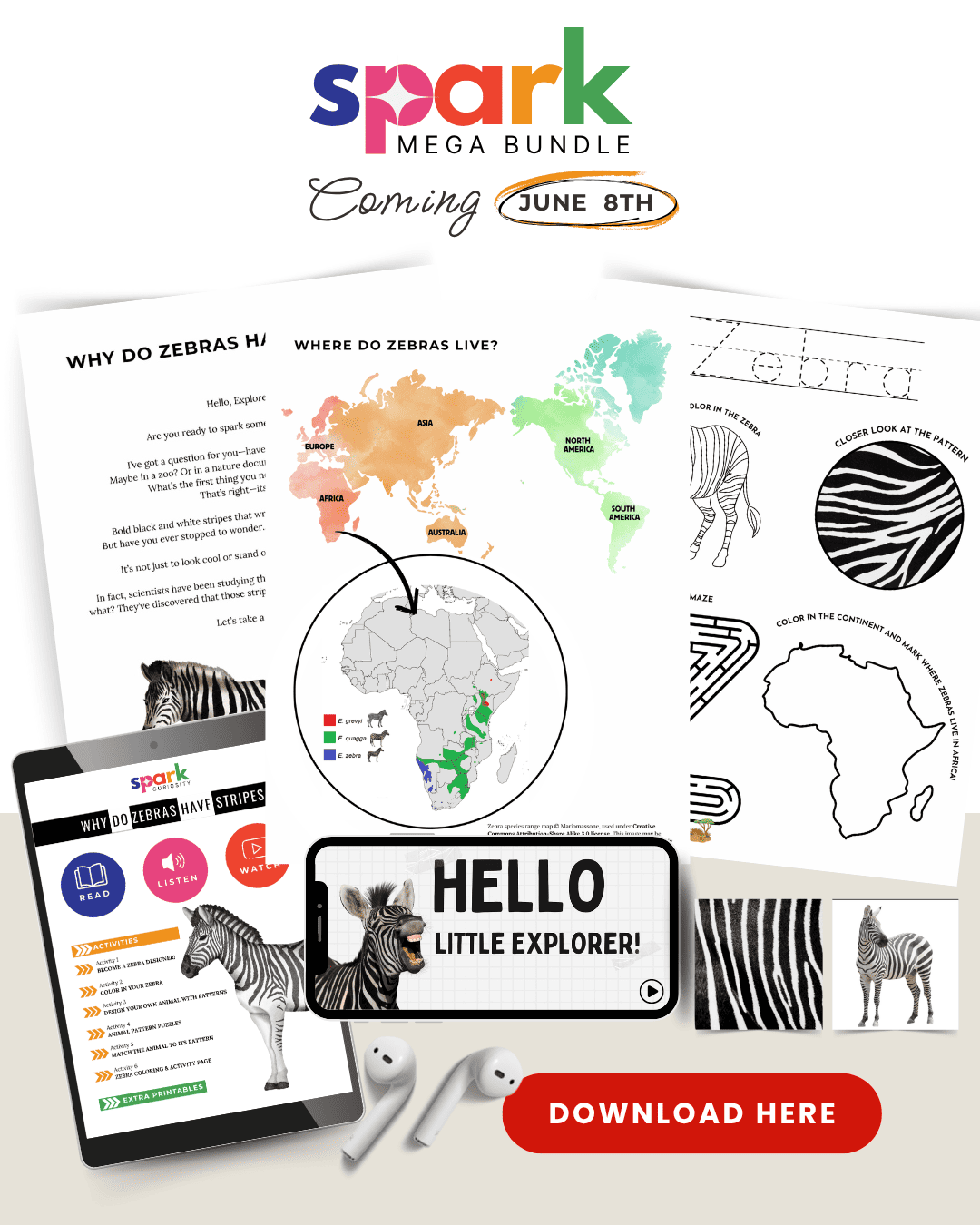 Why Do Zebras Have Stripes Freebie