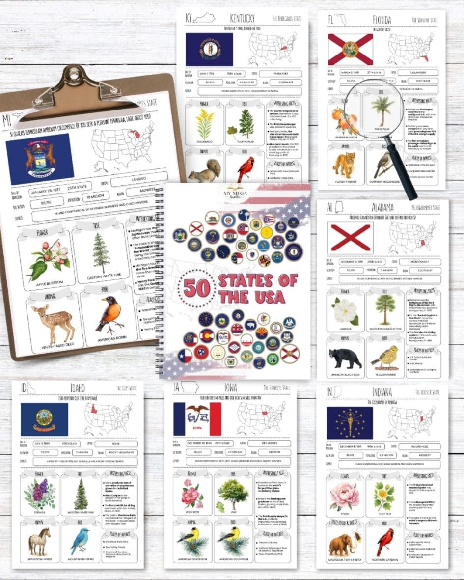 50 States USA Homeschool Ebook – Facts, Maps & Symbols