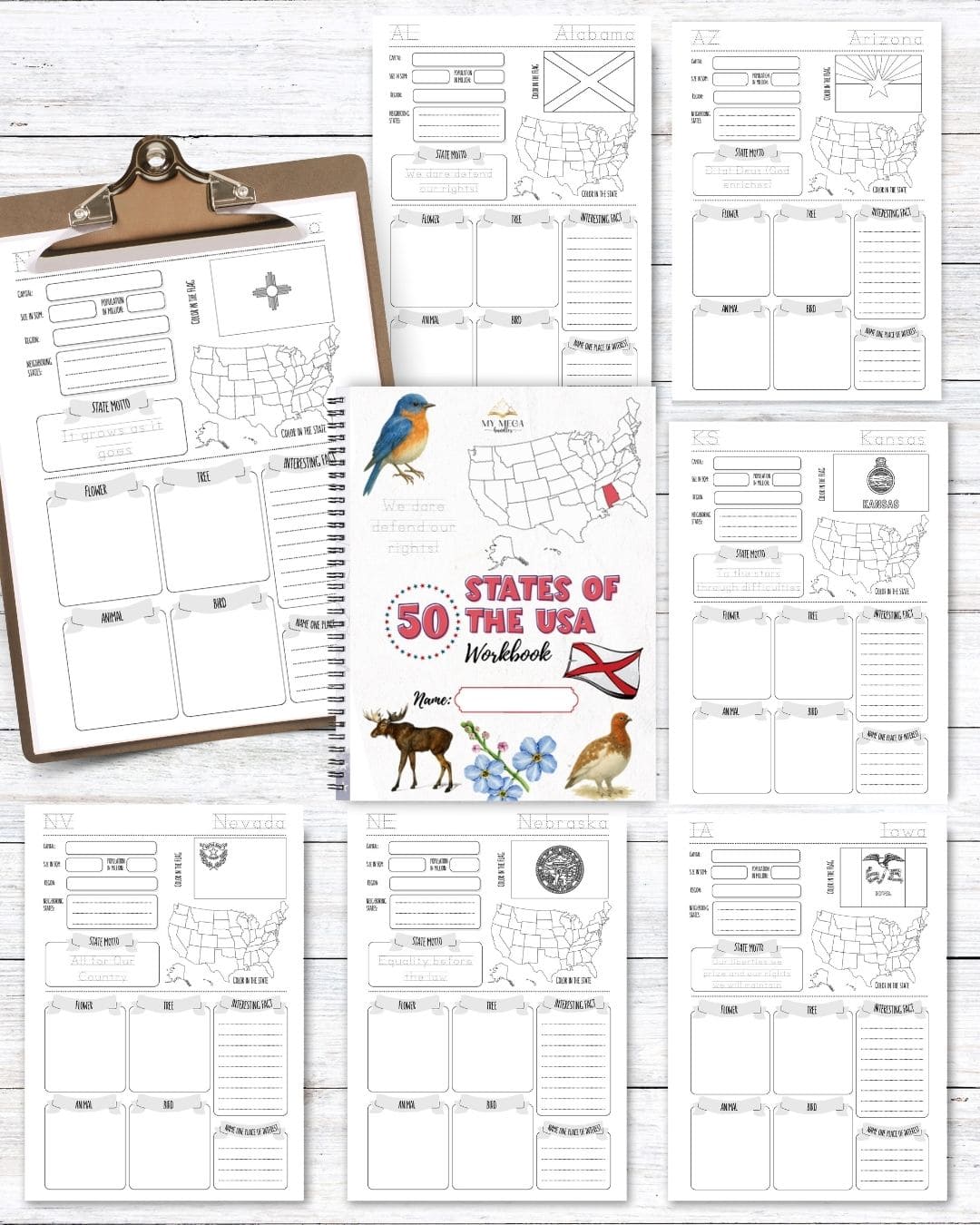 50 States USA Homeschool Workbook – Activities, Maps & Puzzles