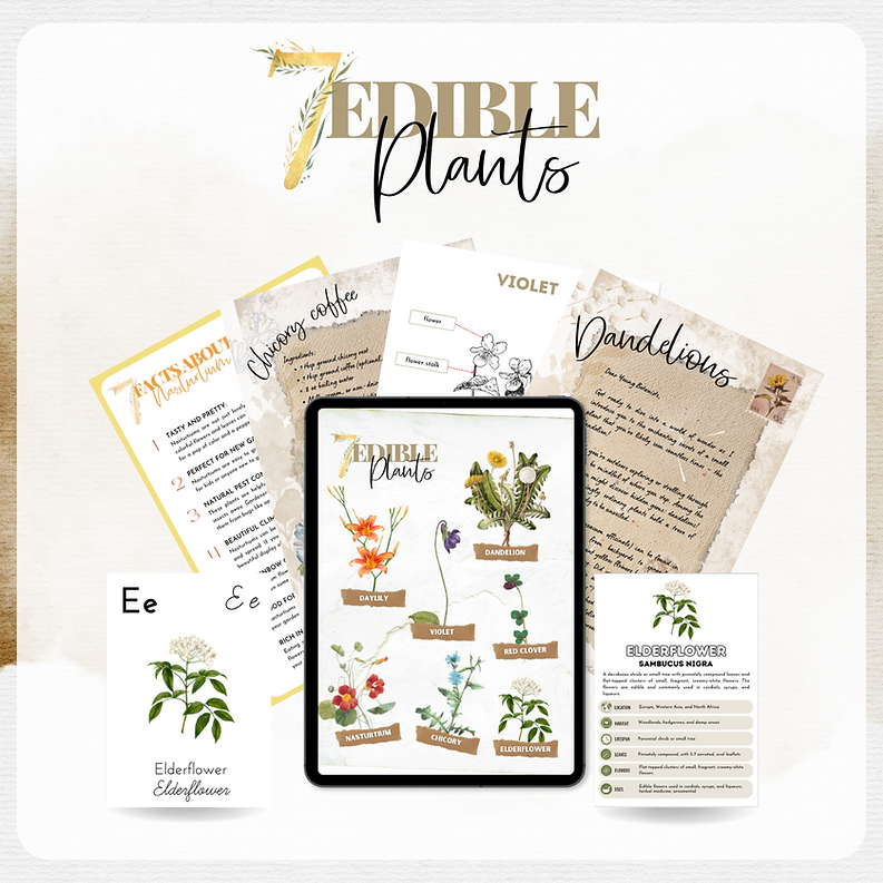 7 Edible Wildflowers Printable Study