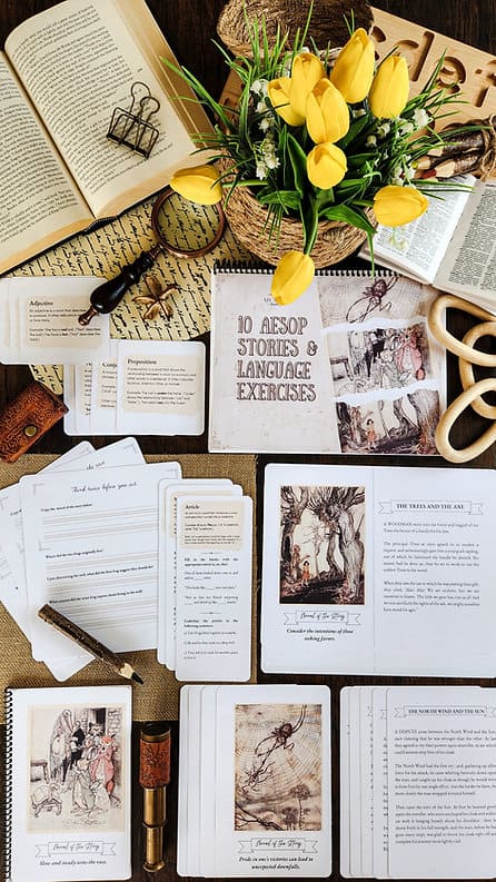 Aesop's Stories grammar printable