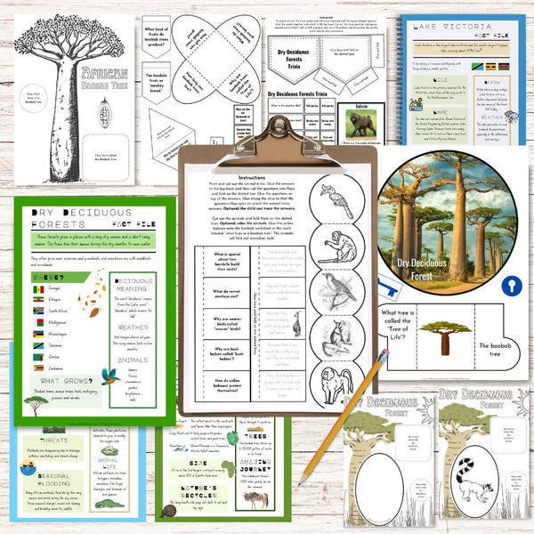 Africa Biome Lapbook