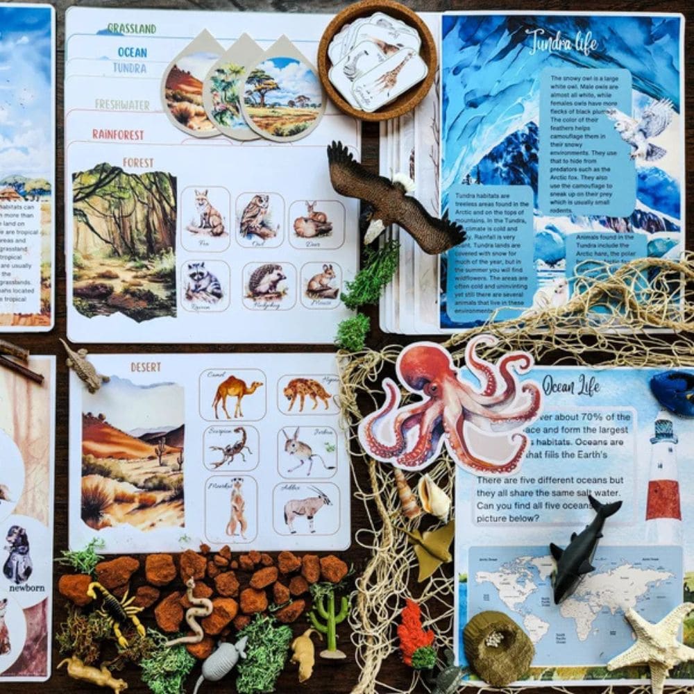 Animal Habitats Printable Study
