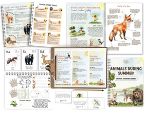 Animals in Summer Study