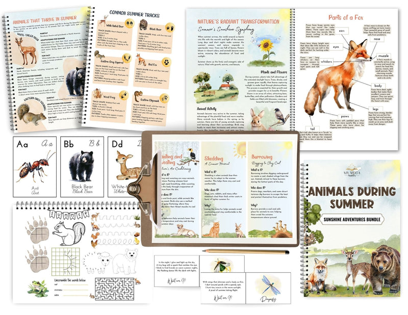 Animals in Summer Study