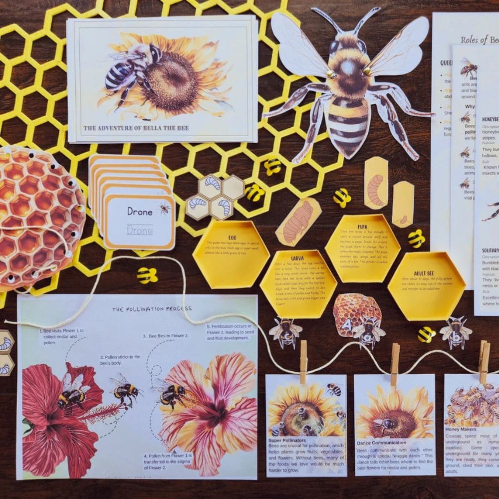 Bee Study Pack