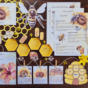 Bee Study Pack