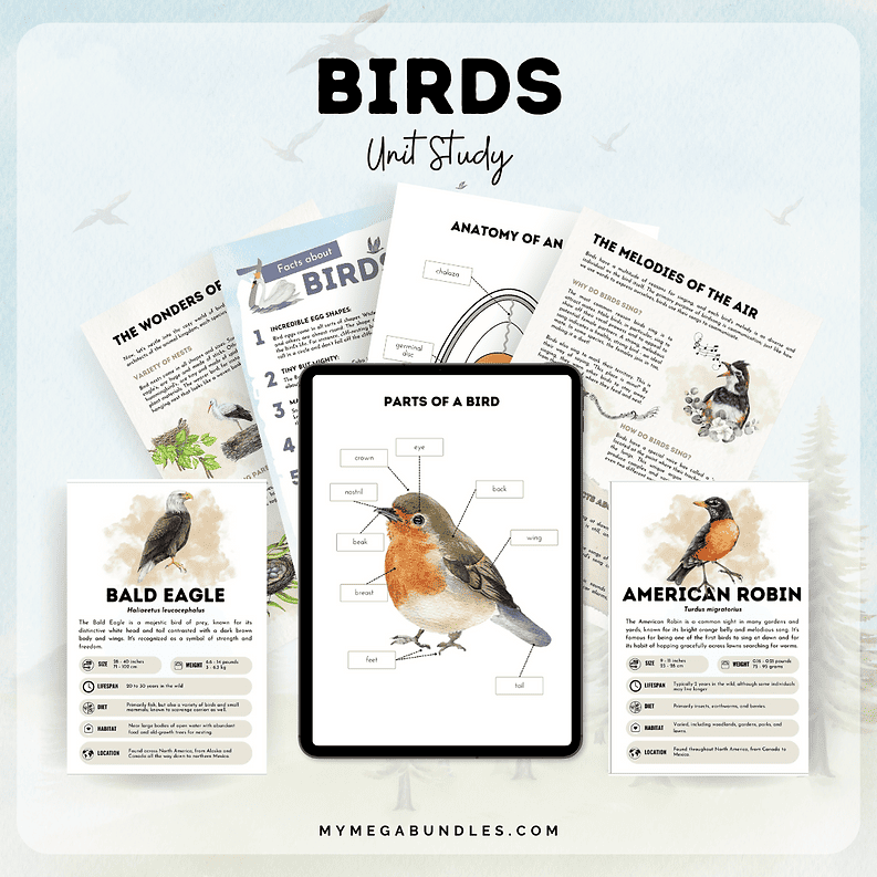 Bird Unit Study Birds Unit Study Printable | Homeschool Printable – My Mega Bundles