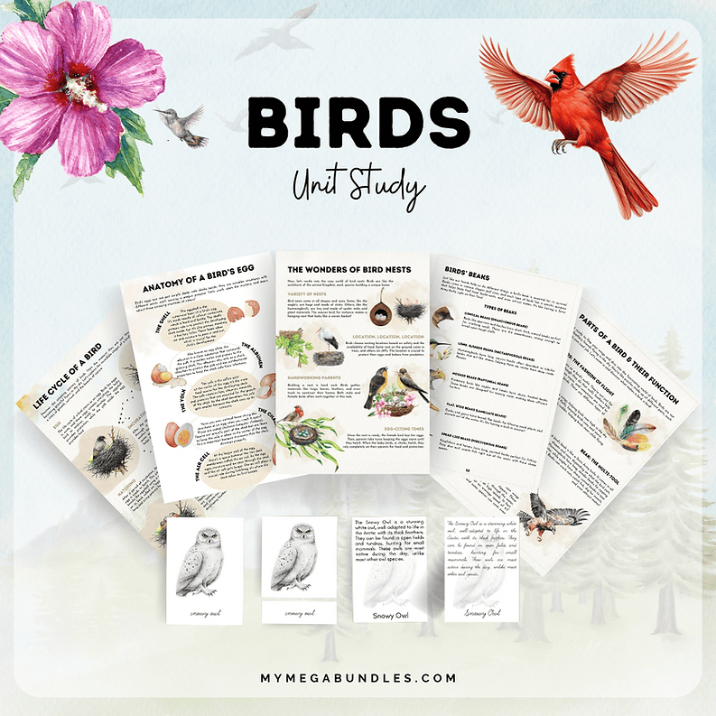 Bird Unit Study Birds Unit Study Printable | Homeschool Printable – My Mega Bundles
