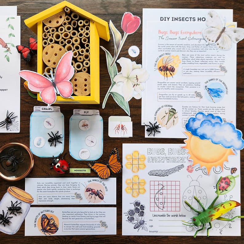 Bugs Printable Study