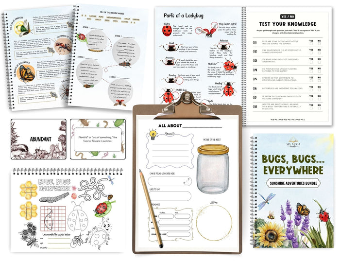 Bugs Study cover