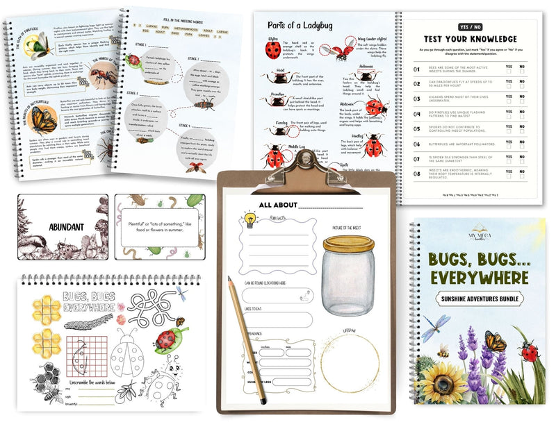 Bugs Study
