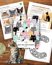 Cat Day - Mini Study