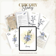 Chicory Challenge Pack: A Journey into Plant Science