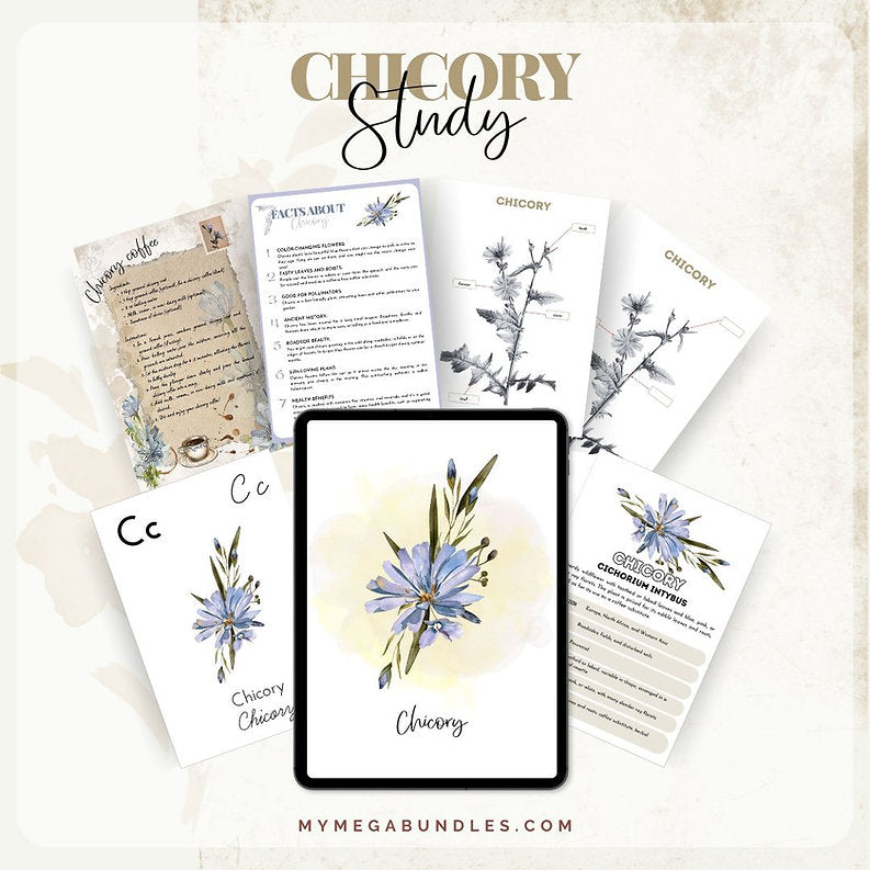 Chicory Challenge Pack: A Journey into Plant Science