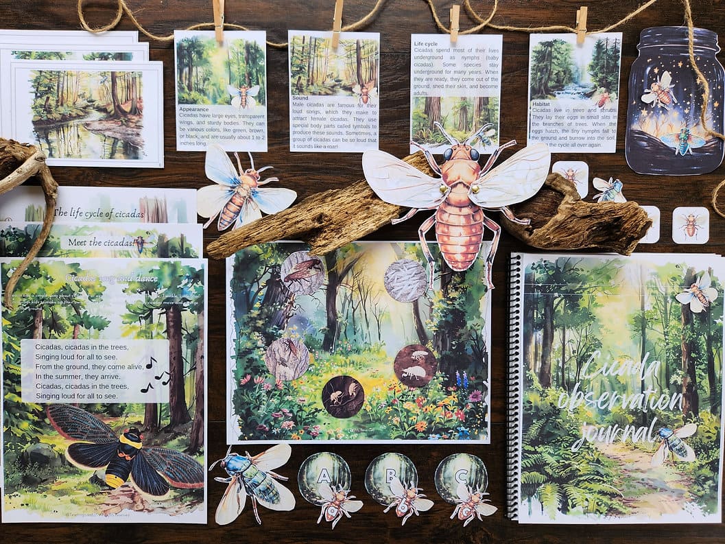Cicadas Study Pack