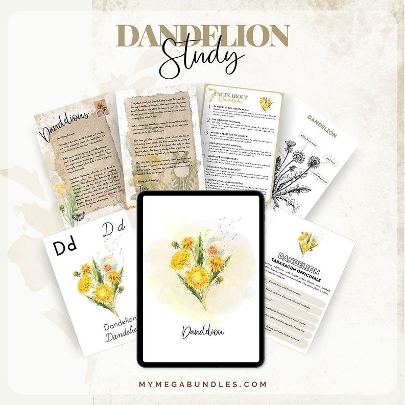 Dandelion Discovery Kit: A Natural Learning Adventure