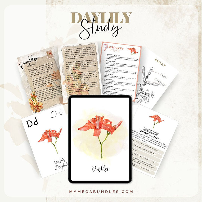 Daylily Delight Pack: A Botanical Exploration for Kids
