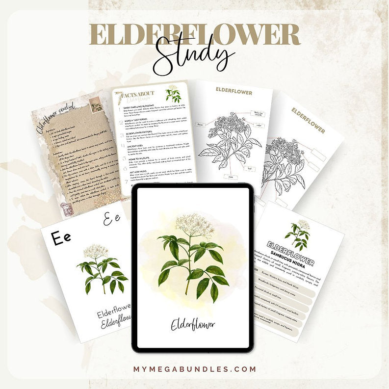 Elderflower Adventure Pack: Discover Botanical Wonders