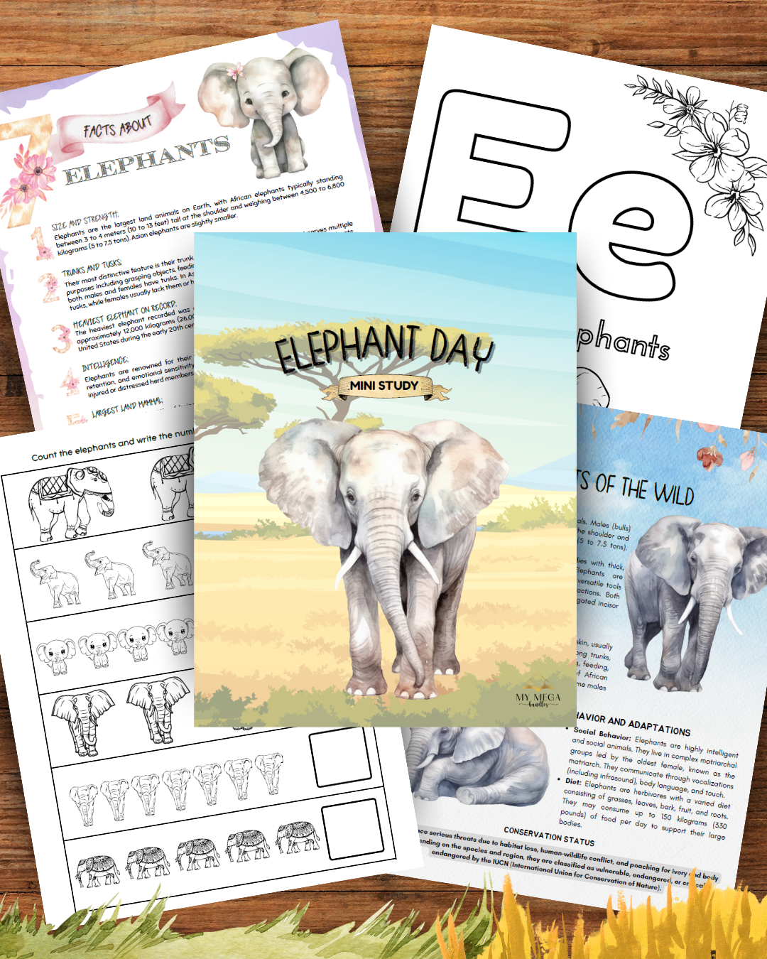 Elephant Day - Mini Study