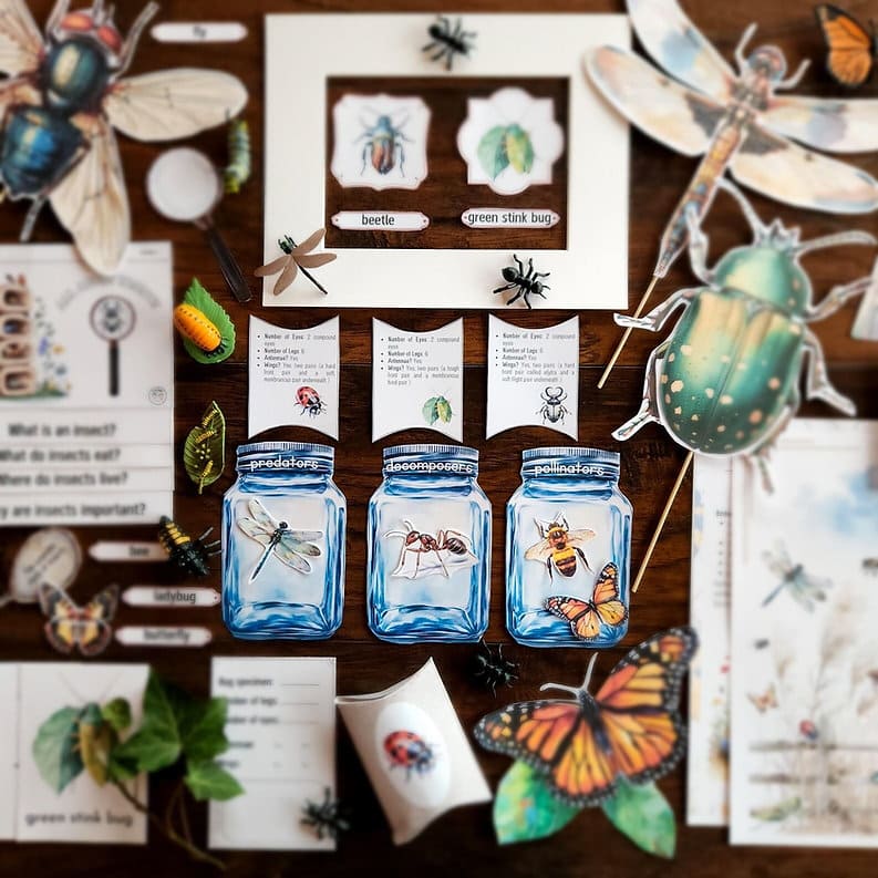Entomology - Insects Unit Study