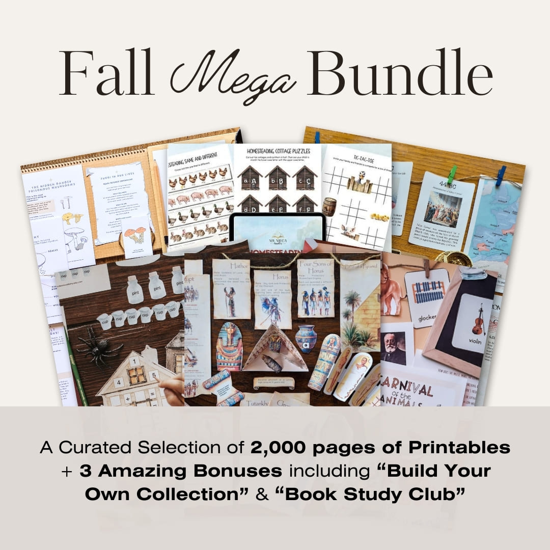 FALL MEGA BUNDLE 2025