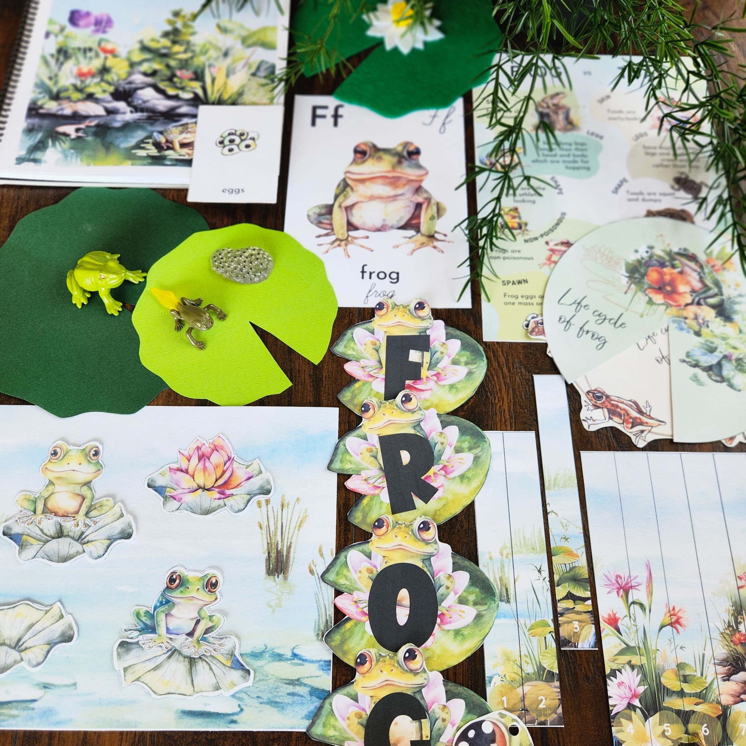 Frog Nature Study Pack