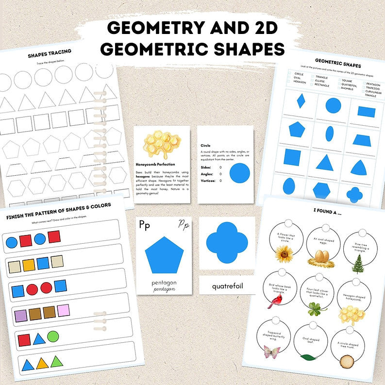 Geometry and 2D Geometric Shapes