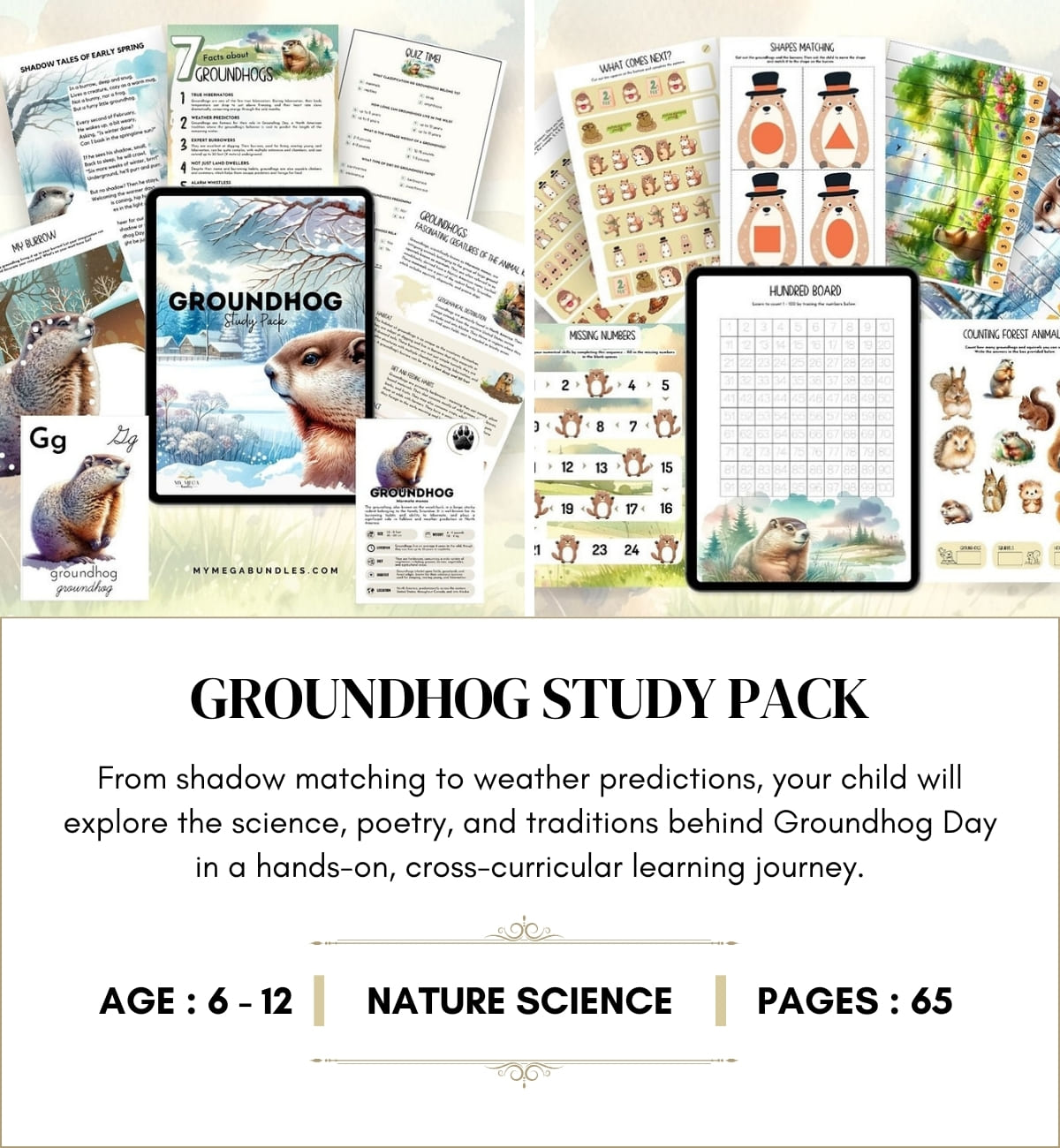 Groundhog Study Pack