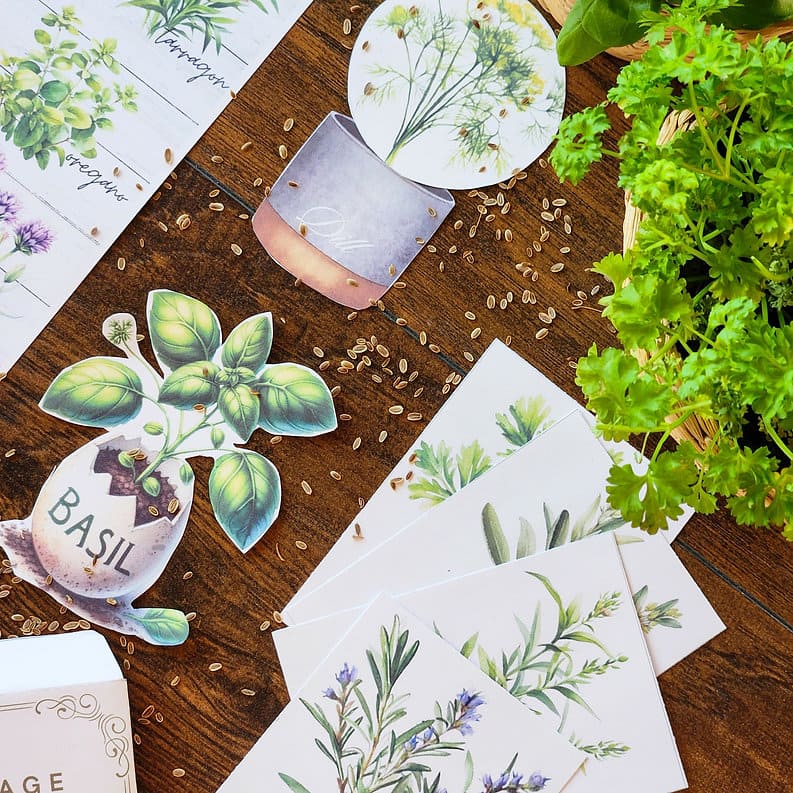 Herbs Unit Study