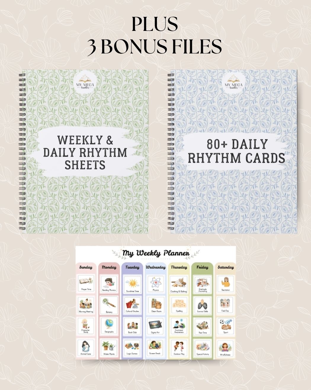 210 visual cards and weekly visual planner