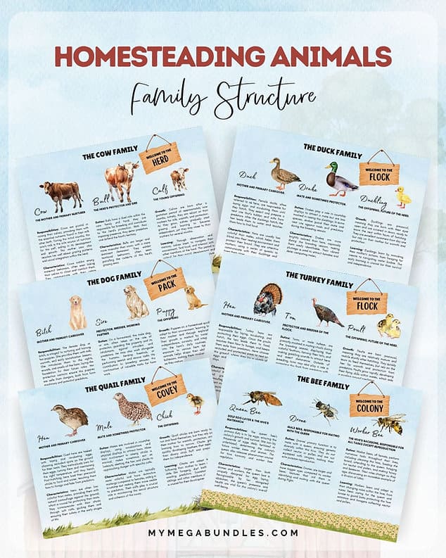 Homesteading Animals Printable Study Pack