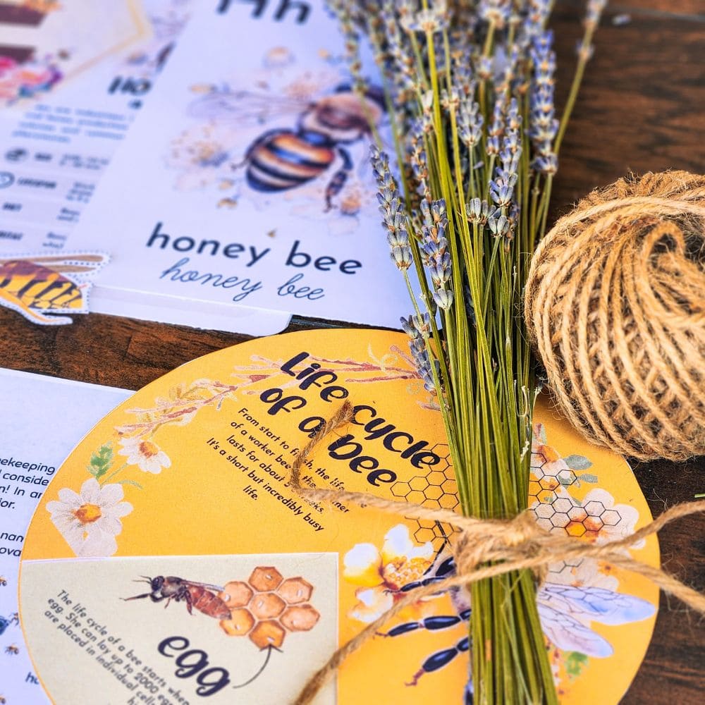 Honey Bee Educational Posters and Montessori Cards