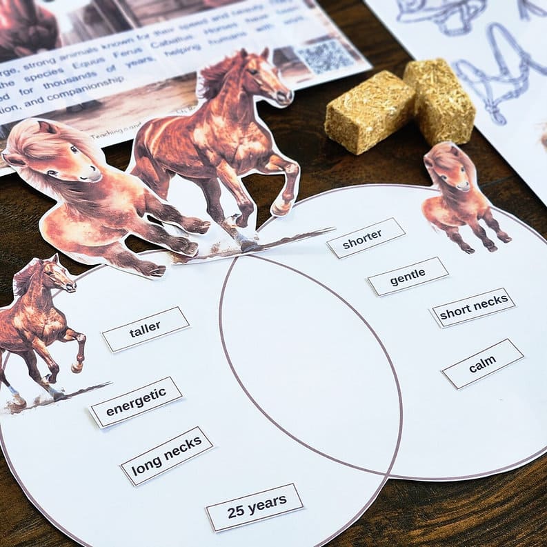 Horse Printable Study