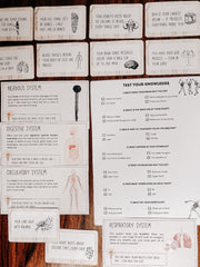 Wonders of the Human Body Mini study