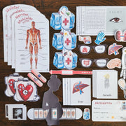 Human Body Unit Printable Study