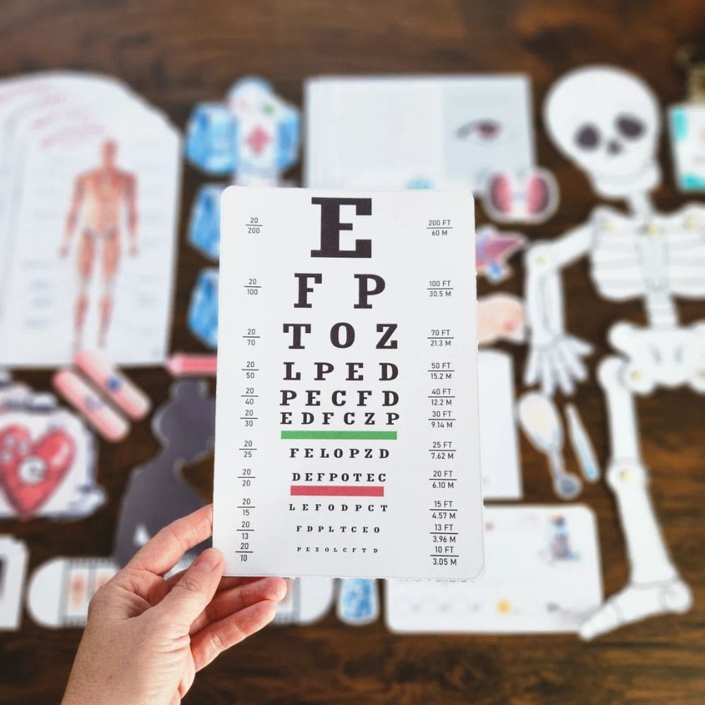 Human Body Unit Printable Study