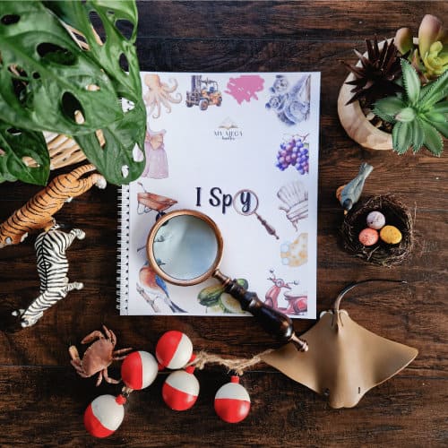 I Spy eBook: Observation and Vocabulary Building for Kids