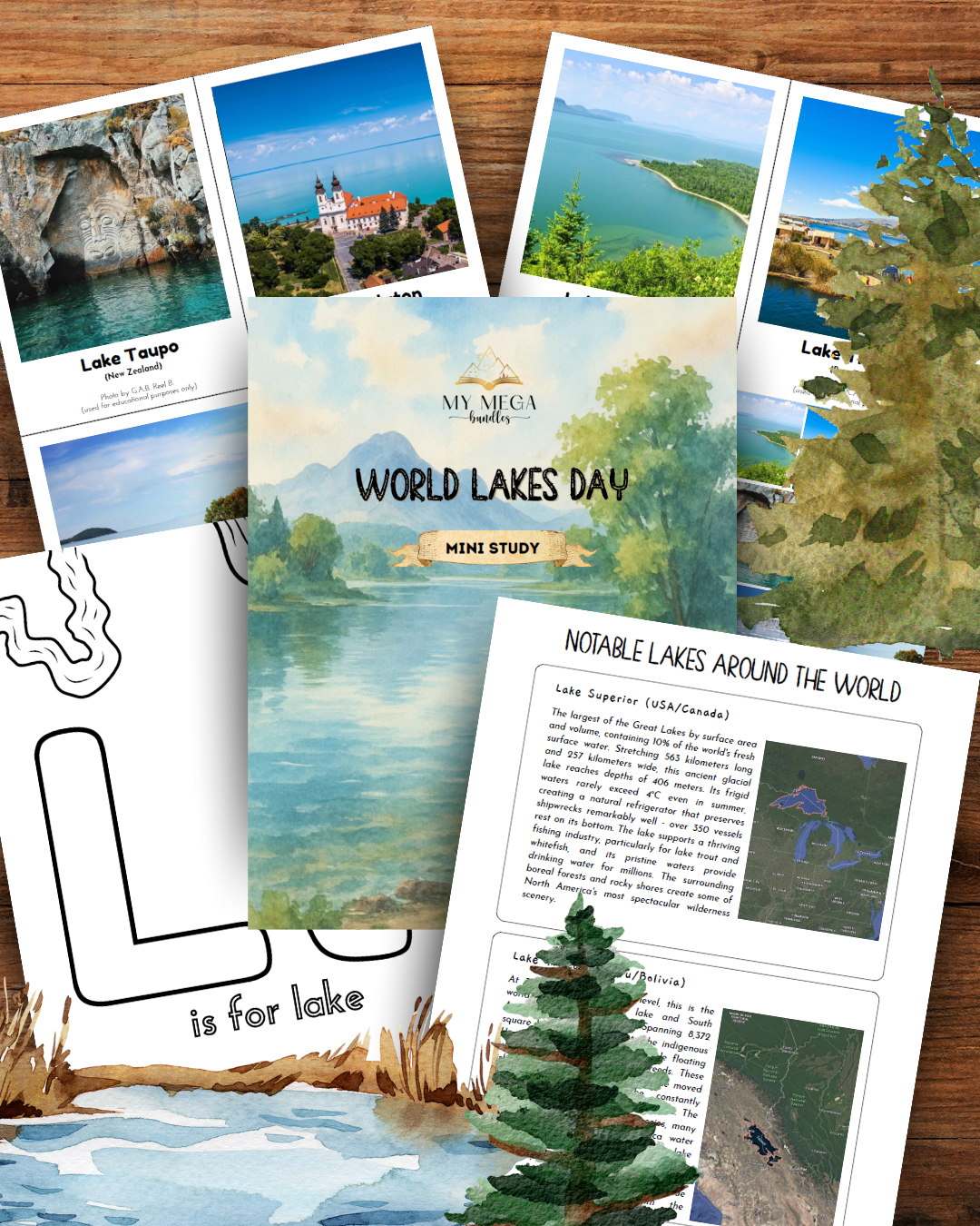 World Lakes Day - Mini Study