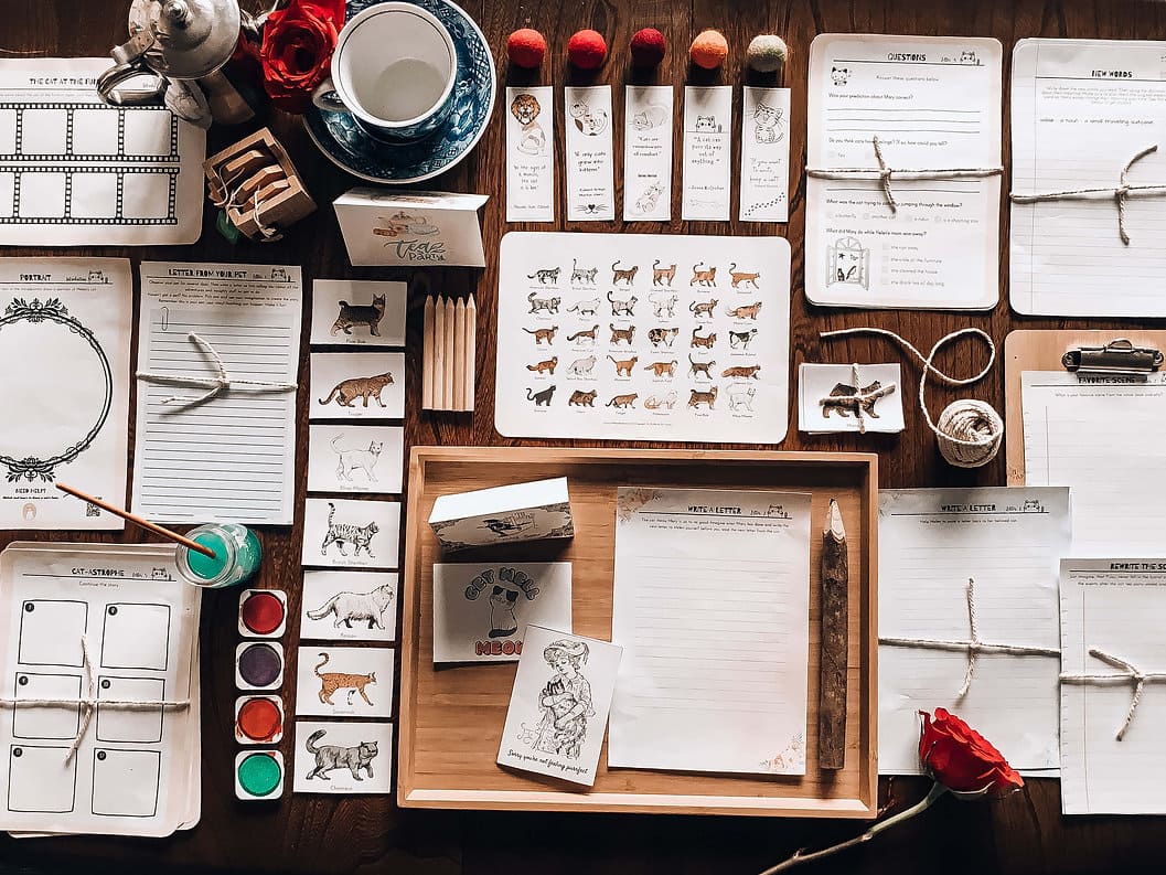 Letters from a Cat Study