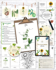 Plants Life Cycle Series – Printable Study Pack for Kids (Ages 5–10)