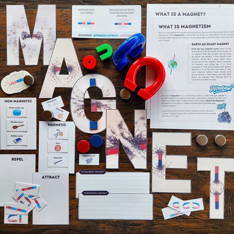 Magnetism Study Printable – Hands-On Science Fun for Ages 8–12