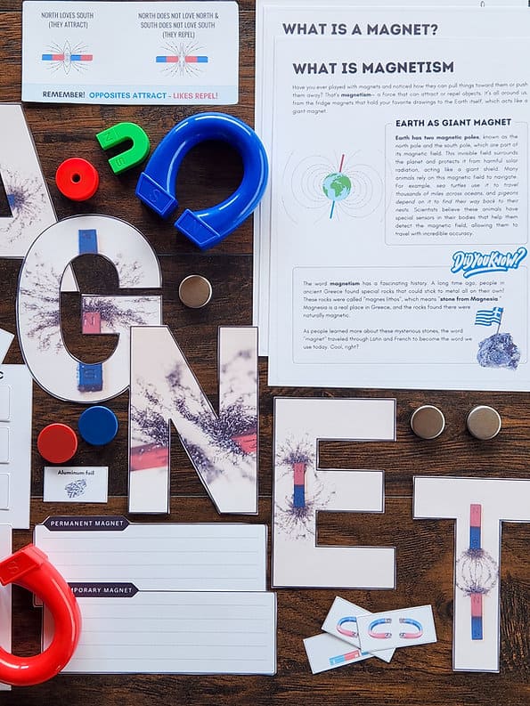 Magnetism Study Printable – Hands-On Science Fun for Ages 8–12