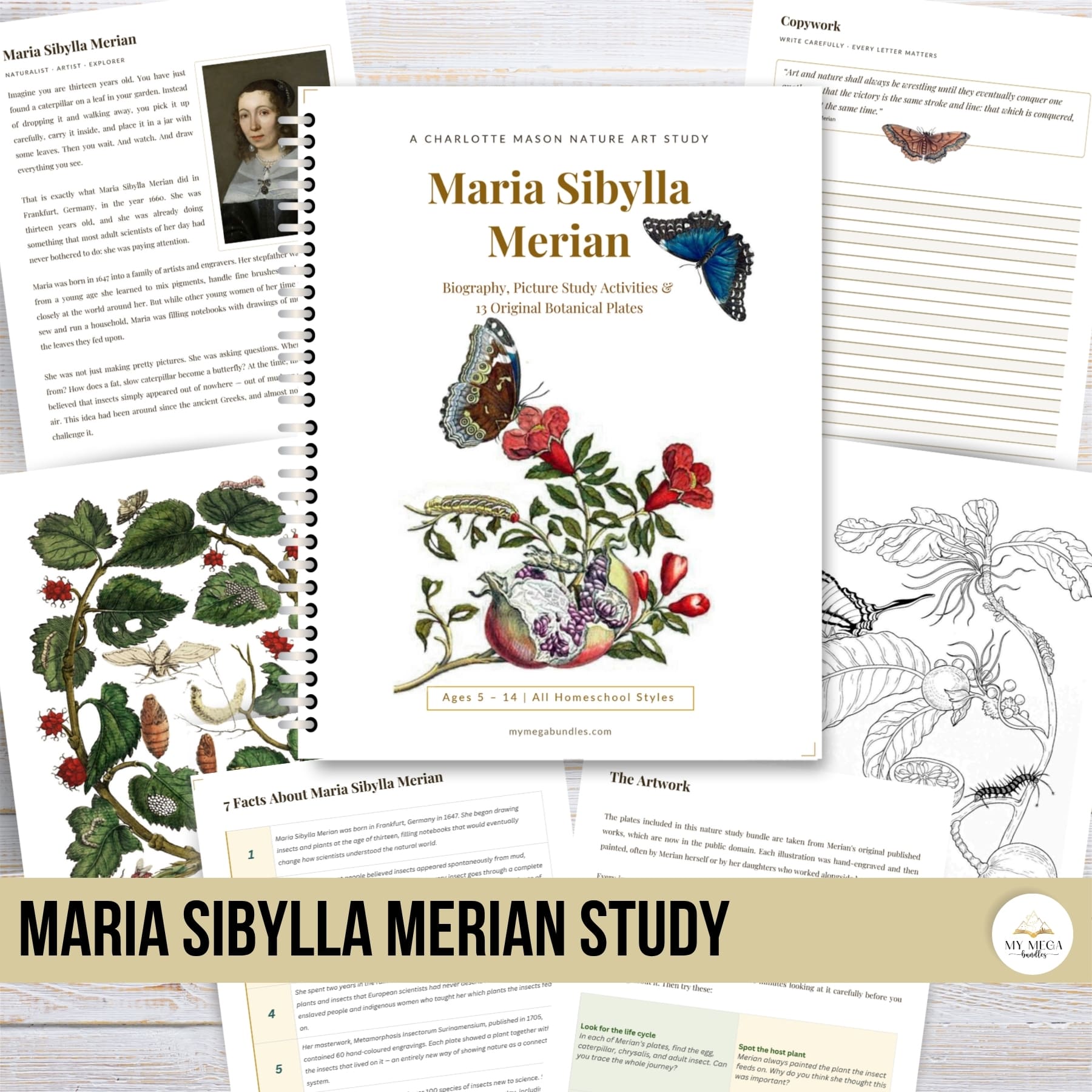 Maria Sibylla Merian Nature Art Study