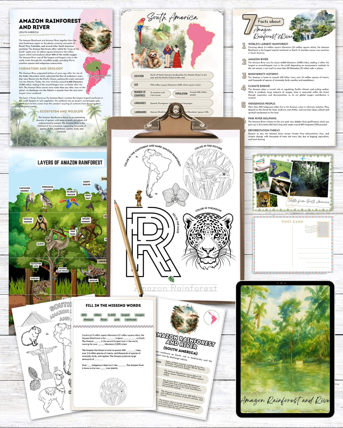 Natural Wonders: Amazon Rainforest and River study