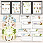 Nature Observation Set — Trees, Flowers, Birds & Butterflies